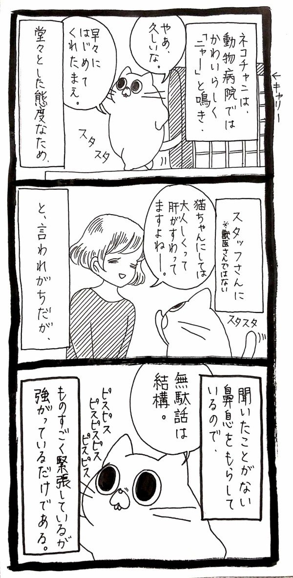 Post by うさぎのみみちゃん😇2/22コミティア東5O28b on X: 強がり