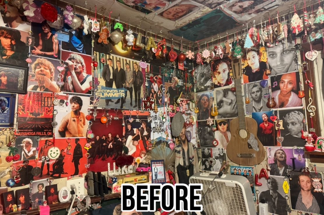 ProjectLukeHemmings tweet media