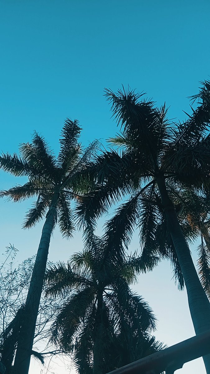 Saksham : ) tweet media