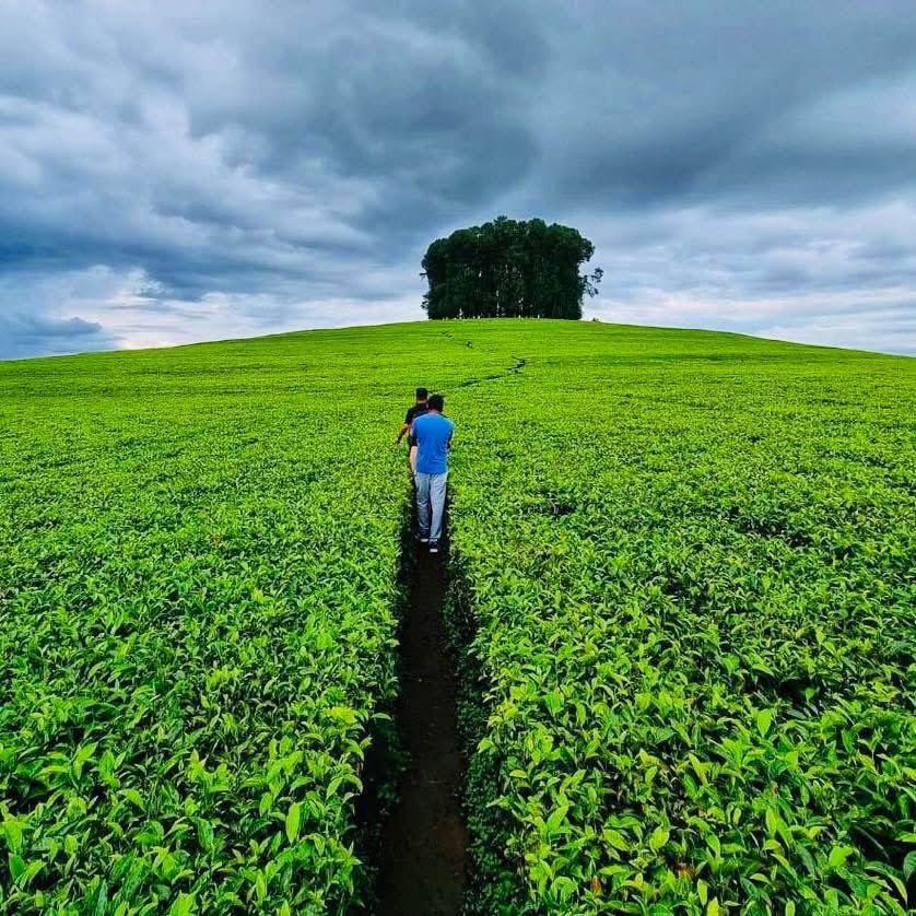 Nyaruguru,Nyaruguru,Nyaruguru weeee….Tubahaye Ikaze #KibehoHolyLand &amp; #TeaIndustry .⁦⁦⁦<a href="/NyaruguruDistr/">Nyaruguru District</a>⁩ ⁦