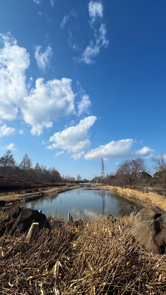 Post by Sian@C107(水曜)東ア57a on X: 余りにも平和