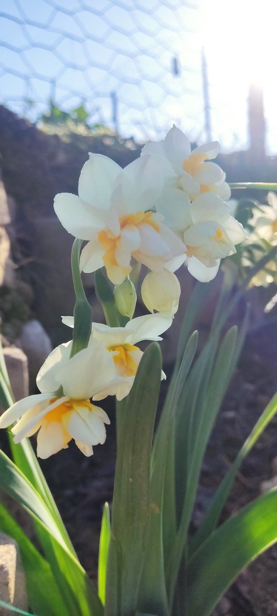 Günaydın.
Mutlu sabahlar
Yeni hafta ,yeni umutlara