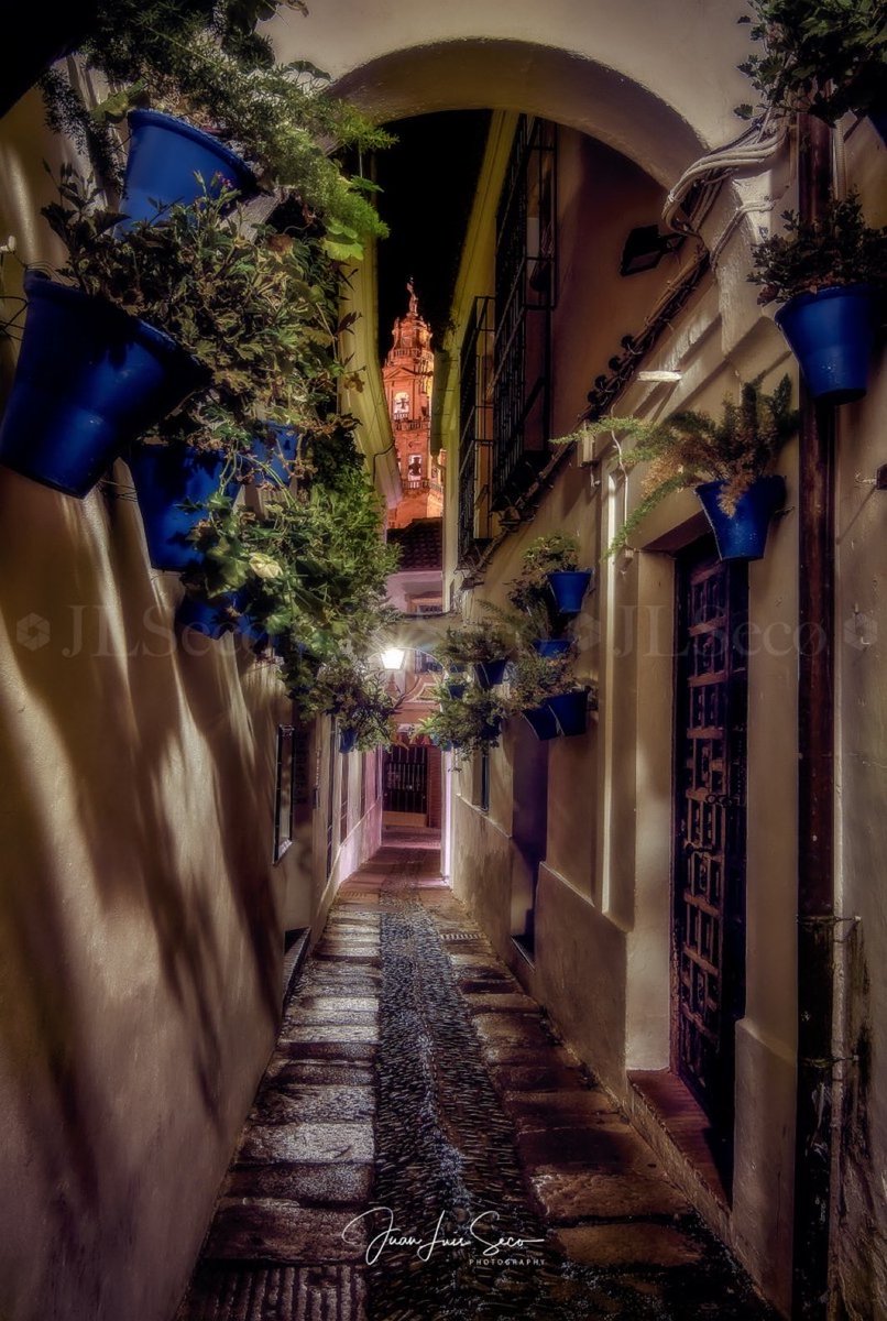 🗣️Córdoba enclave de #HistoriaArteyCultura que enamora 

Calleja de las Flores 

📸 Juan Luis Seco 

#cordoba #cordobaesp #mimaacordoba #nonina