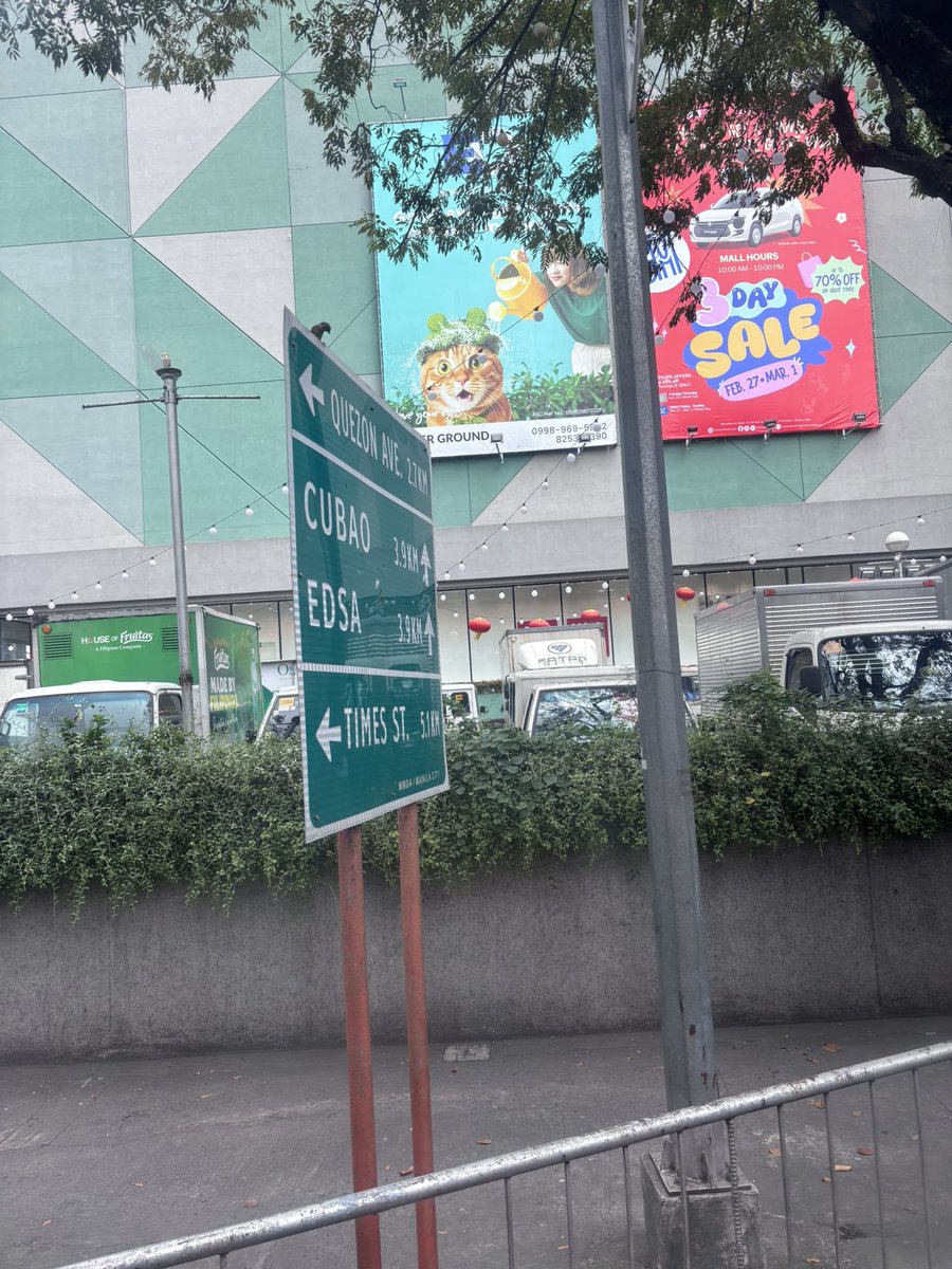 jel ⋆ ˚｡⋆୨୧˚ tweet media