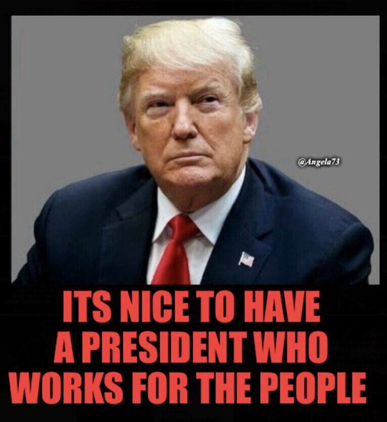 MAGA Posts tweet media