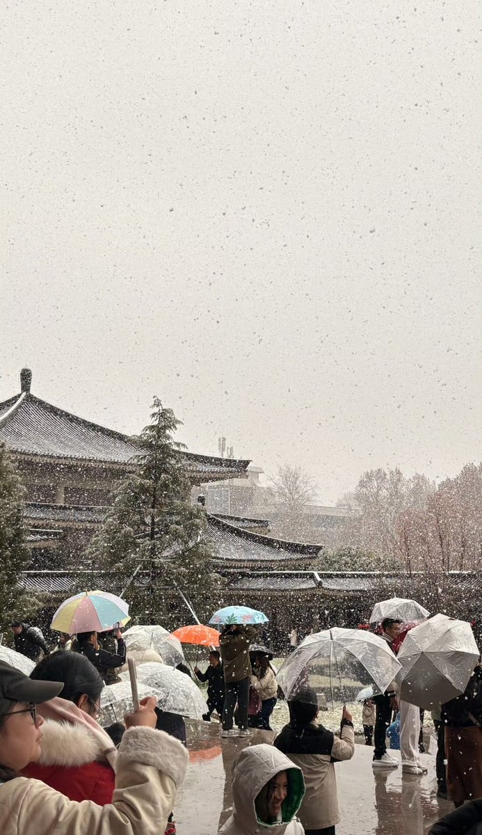 陈奕迅住的城市从不下雪，从我记事起，西安、咸阳，冬天从来不会下雨，冬天一滴雨都不会下。。。

现在​连续两年冬天下雨，忽报人间曾伏虎，泪飞顿作倾盆雨？

要比自然气候，北京是大城市的倒数第一，这谁要是反驳、哪怕补充、错峰比较，那谁就是吃剩饭长大的，一肚子馊主意。

😖
