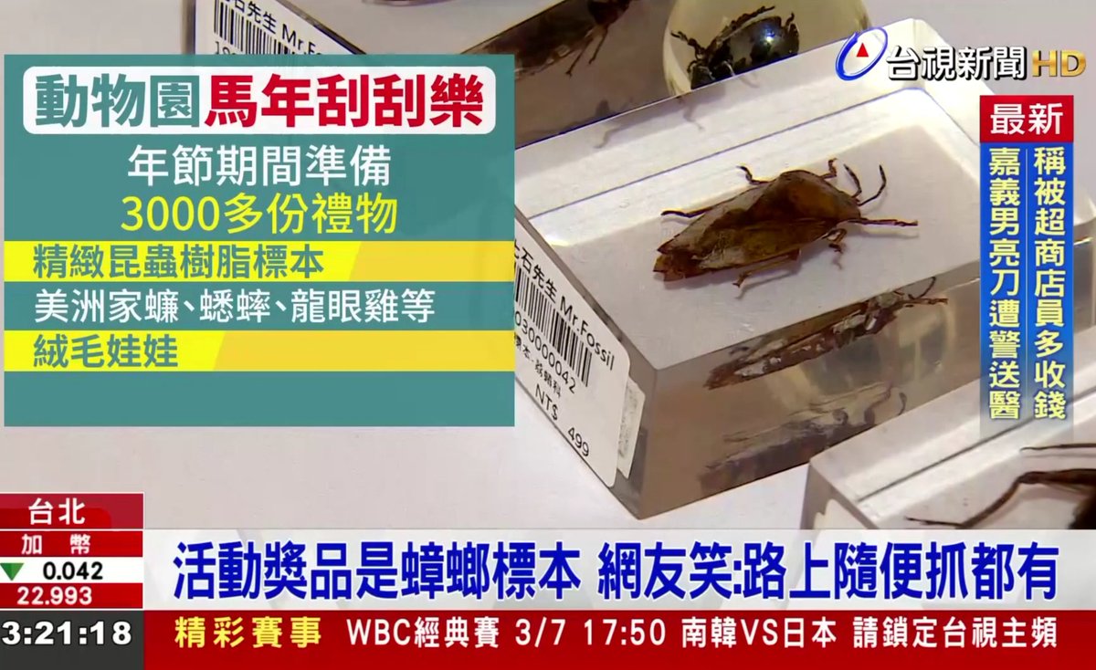 今日の台湾TVニュースで話題になっているのは、台北動物園で馬年春節