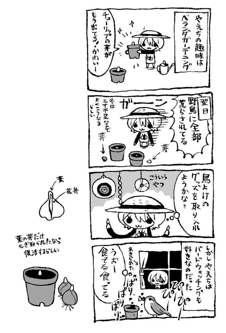 鮫島ヤエ子 tweet media