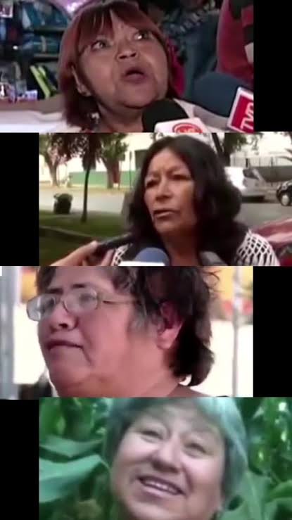 El tipo de fans de Matteo Bocelli:

 #Viña2026