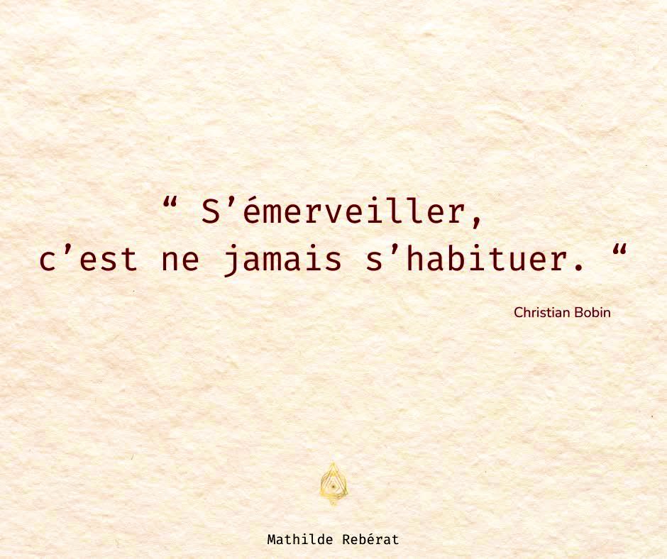 Sylvie Bert tweet media