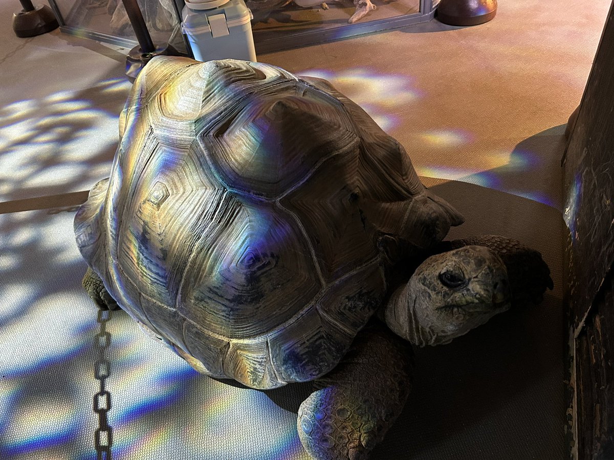 kamicho329's tweet photo. 今日は神戸まで足を延ばしました。友達が勧めてくれた水族館atoaにも行きました。良かったです。 https://t.co/iOOWe789B7