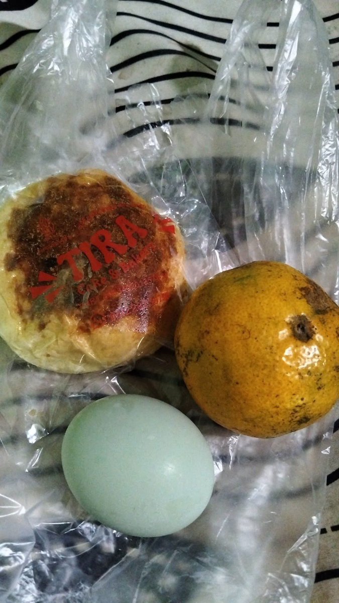 [Foto] Menu MBG hari ini dari berbagai wilayah di Yogyakarta ,