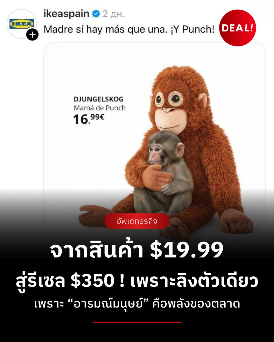 Dealinvestth's tweet photo. ไวรัล "พั้นช์คุง" ลิงหิมะญี่ปุ่น 
ทำให้ตุ๊กตาอีเกียตัวละ $19.99
สู่สินค้าราคารีเซล $350 !
.
อ่านต่อ : https://t.co/kHaLpEwoxY
.
 #dealinvest #BusinessInsights #Marketing #がんばれパンチ #ikea #พั้นช์คุง https://t.co/XO7R77b57d