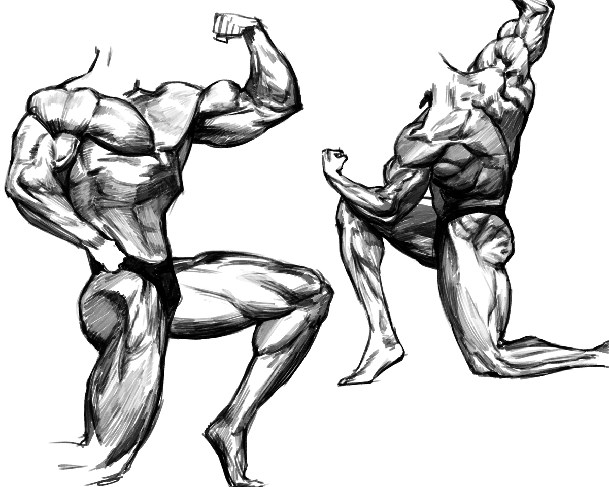 비늘돔 BNLDOM tweet media