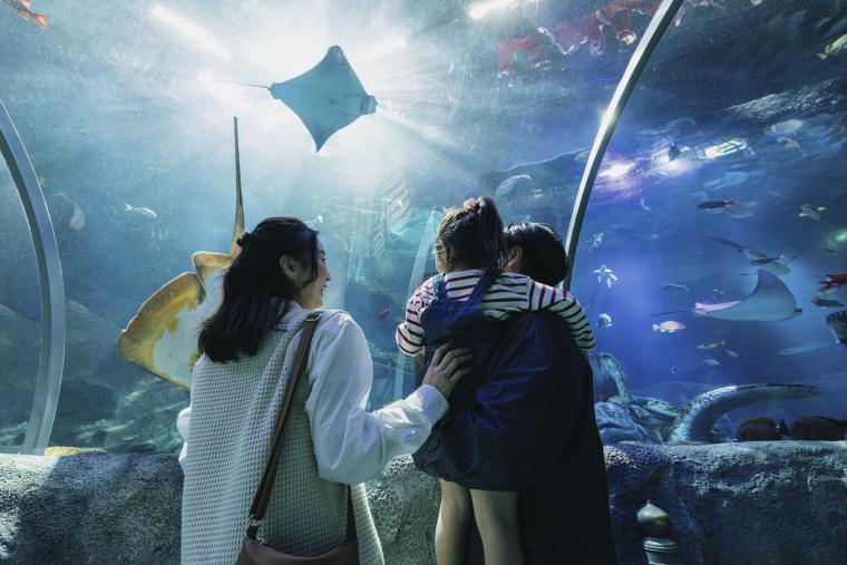 期間限定！あつ森コラボ開催中✨／ 名古屋シーライフ水族館