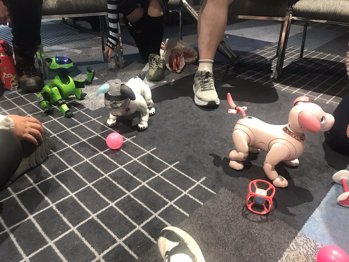 🇦🇺🐺Josshy The Wolfsky/Hellhound🐺🇦🇺 tweet media