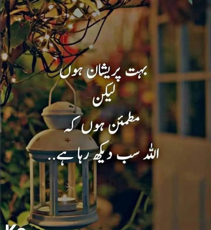 Kanwal Qazelbash tweet media