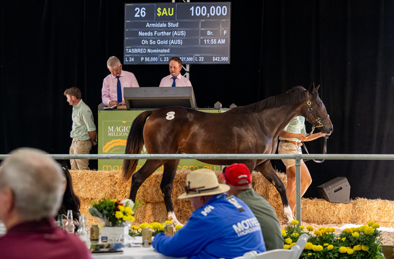 Tara Madgwick tweet media