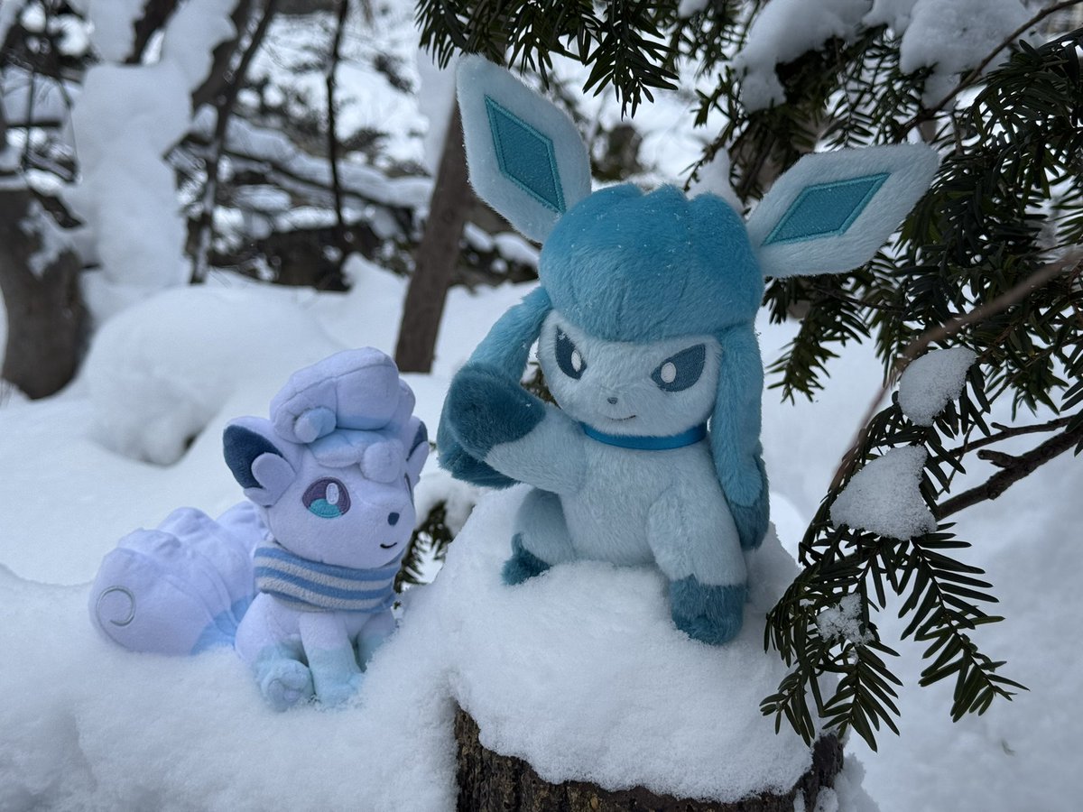 Mika🎐 @BSKY tweet media