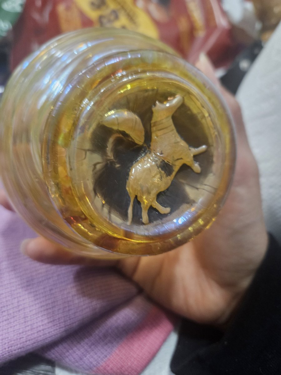 MejiaMonkeys tweet media