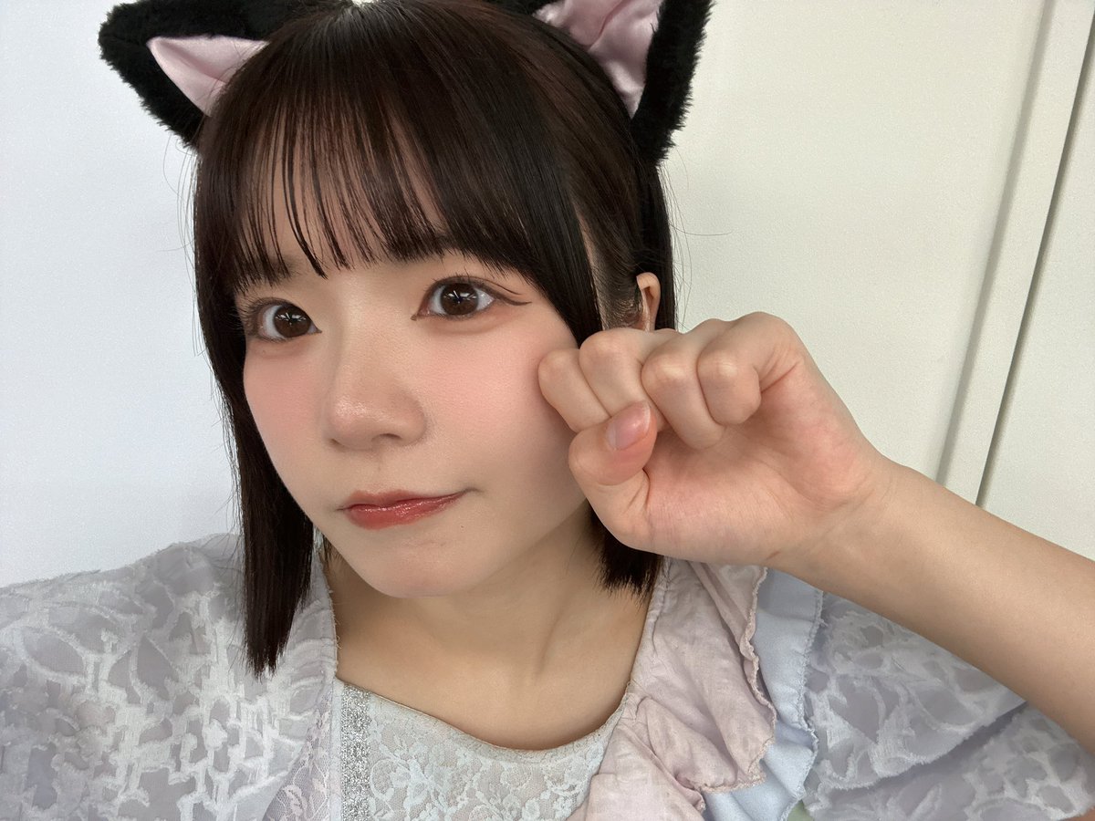 ZOCX 【1枚350円〜1000円】猫猫猫はう チェキ