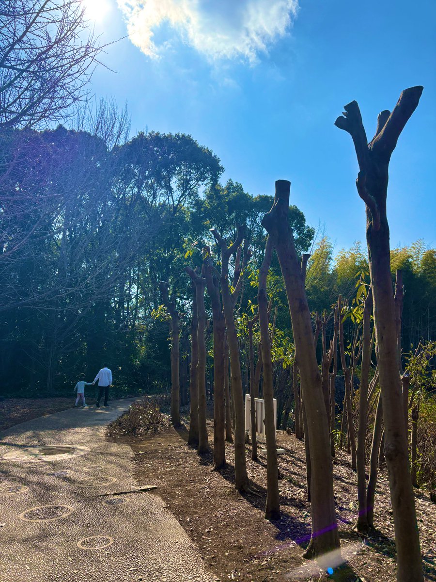 matchaUFO's tweet photo. 最近は花粉症が辛くてくしゃみが止まらないけど、今週末は友達と遊んで、美味しい料理を食べて、買い物もできたから、まだ頑張れる力が湧いてきた💪🏻✨ https://t.co/0EHjybFFQw