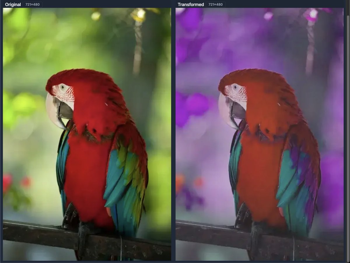 Albumentations tweet media