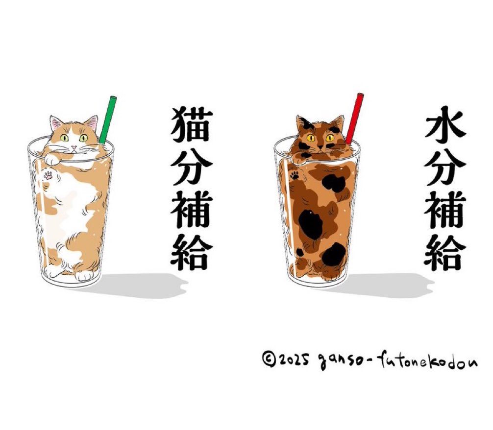 あれちょっと具合悪いかも？
と思ったまさに今、
猫分水分補給です🐱🥤