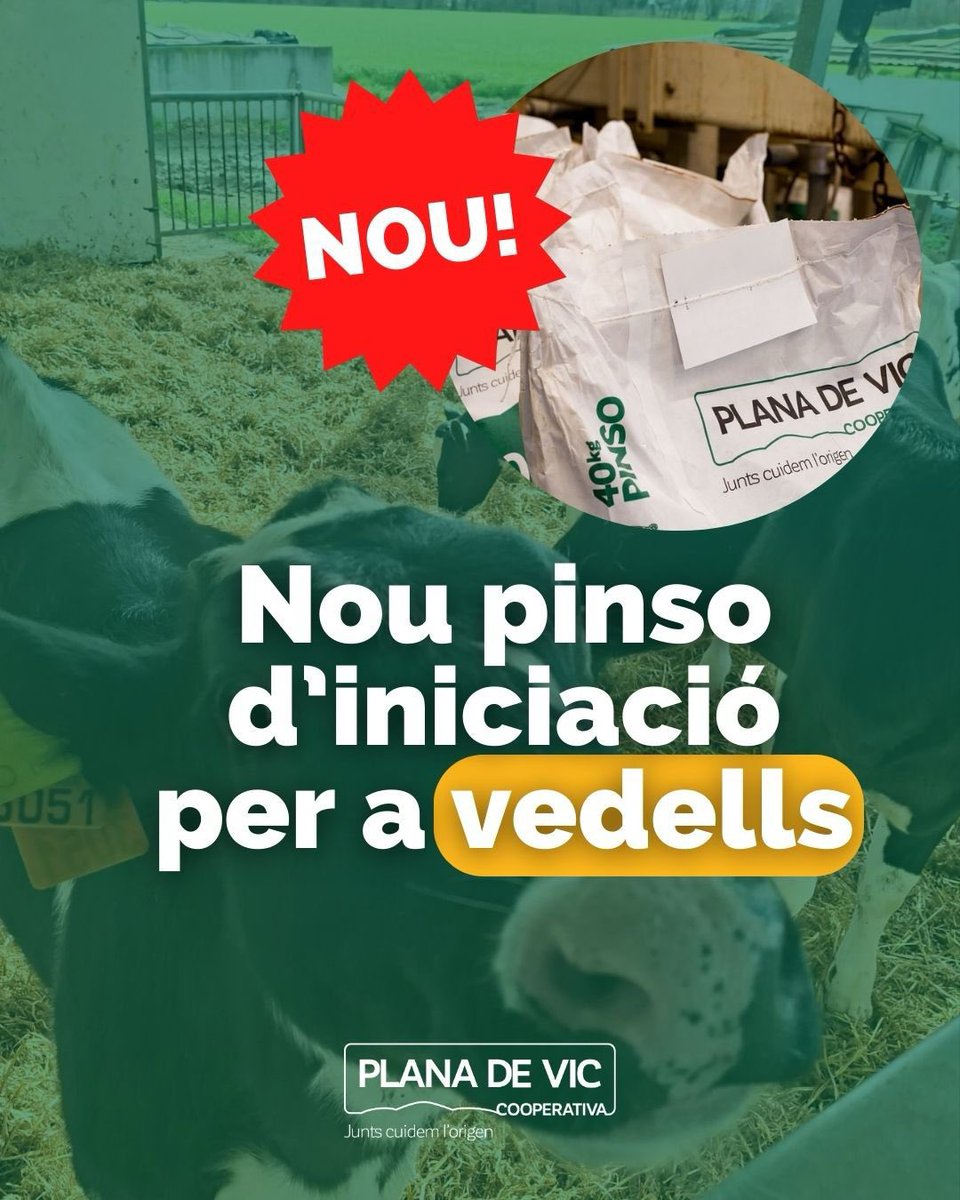 Plana de Vic tweet media