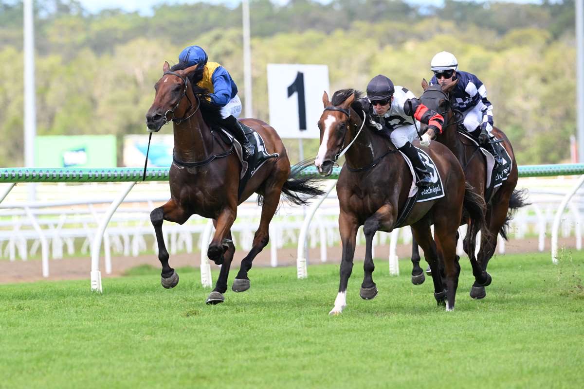 JackBruceRacing's tweet photo. Fifty Calibre goes bang 💥🔫 

Following a super run in town last start, he stepped up to the mile and proved too strong late. A maiden no longer and will get better as the distances increase. 

Congratulations to @Importracingaus and connections!

📸 @TRACKSIDEphoto https://t.co/Pz8vyRE44U