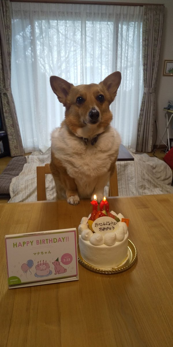 永禄四年 tweet media