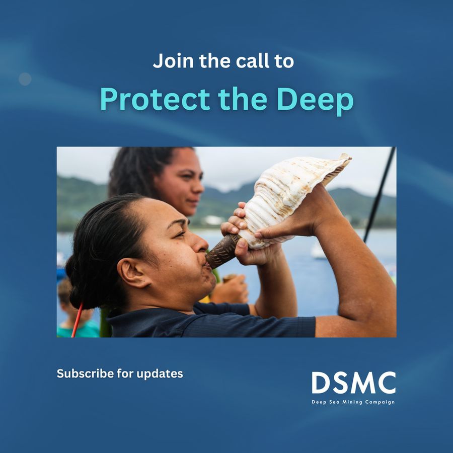 Deep Sea Mining Campaign tweet media