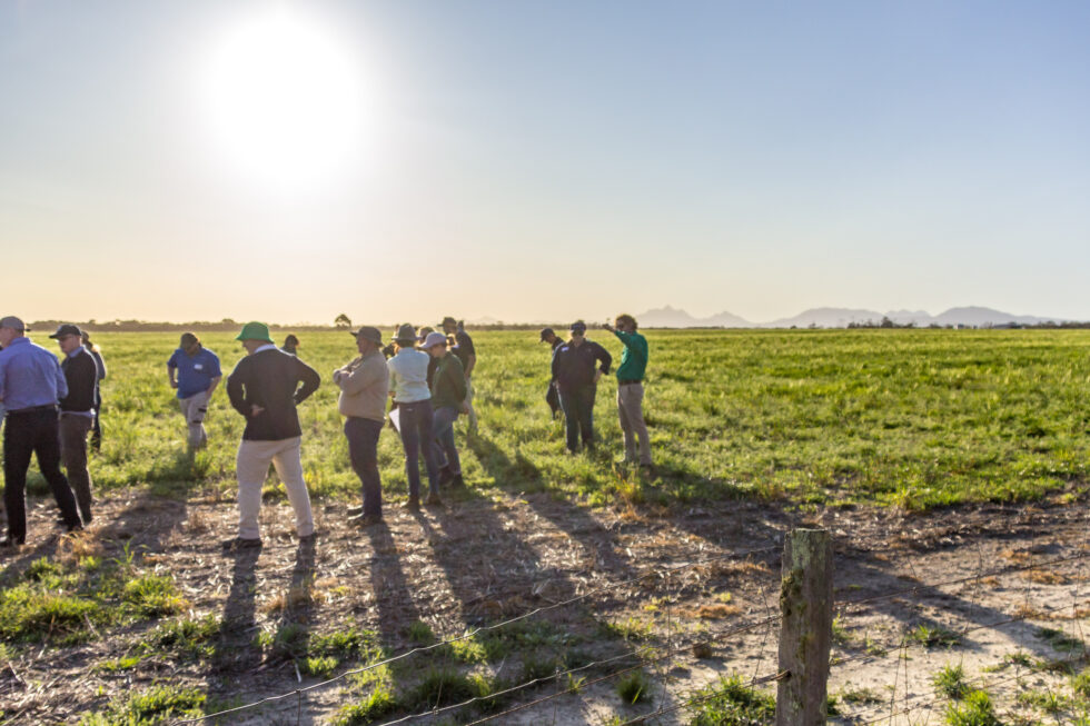 Grower Group Alliance tweet media