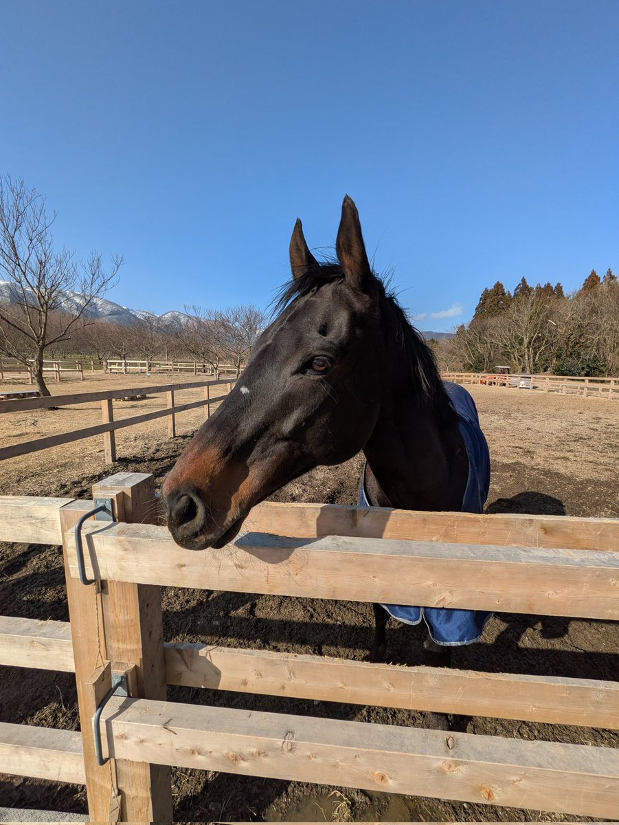 七味 (@8DmPDM32mk584qY) / Posts / X