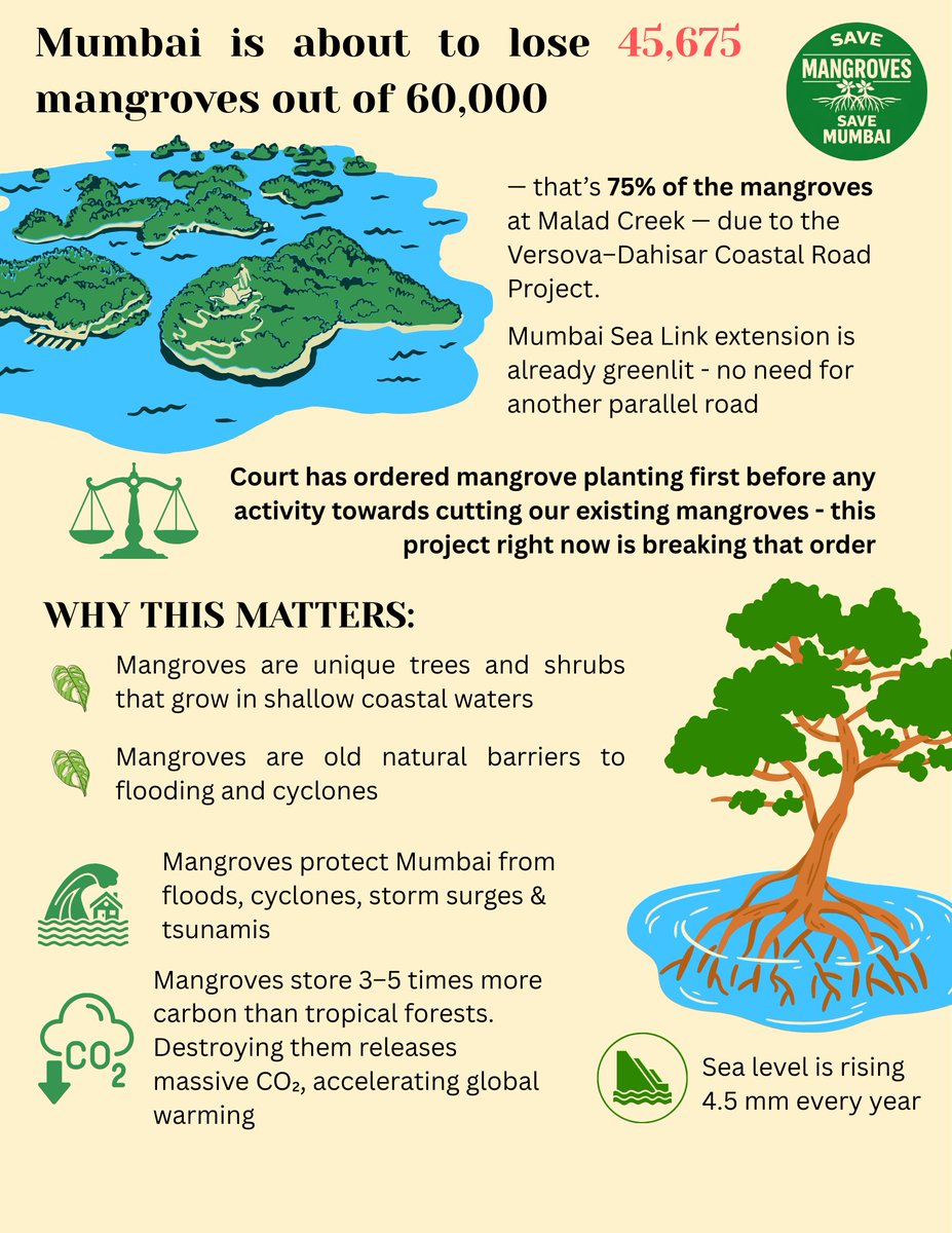 Save Mumbai Mangroves tweet media