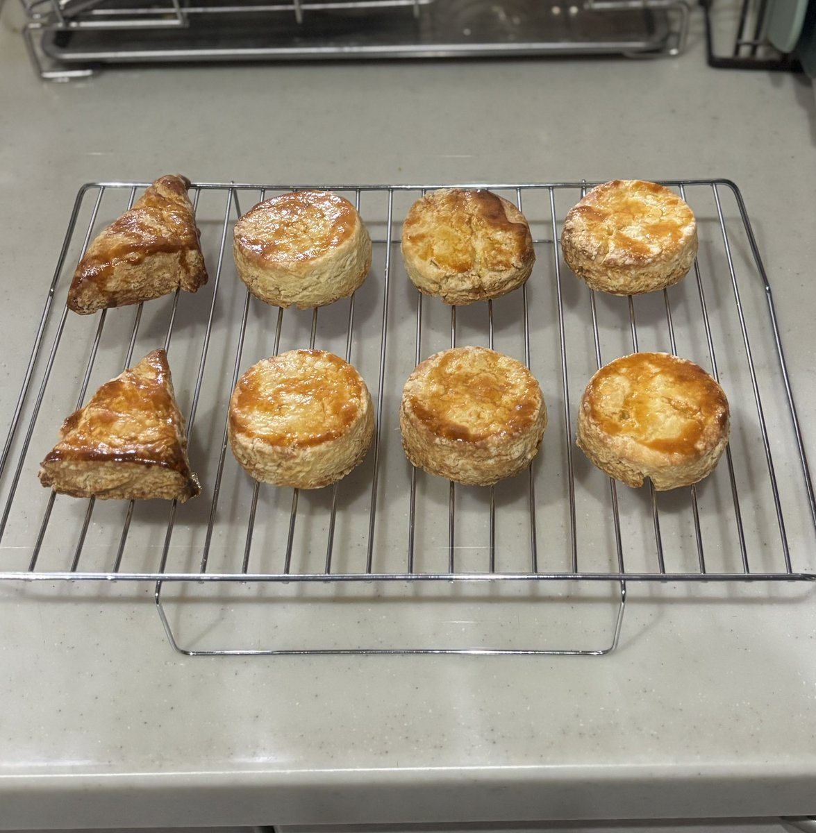 おとうふ📛 (@otodesu_ttky) / Posts / X