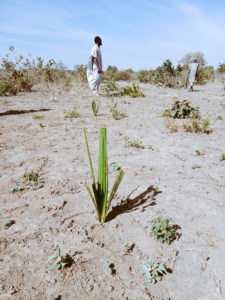 musdums's tweet photo. Monitoring Visit to OMVG Forest Protocol intervention communities. https://t.co/2MTvNYCpTJ