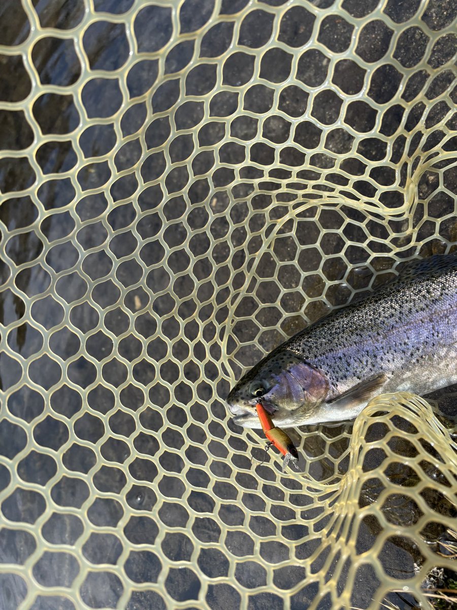 しこすけ (@shikosukemini91) / Posts / X