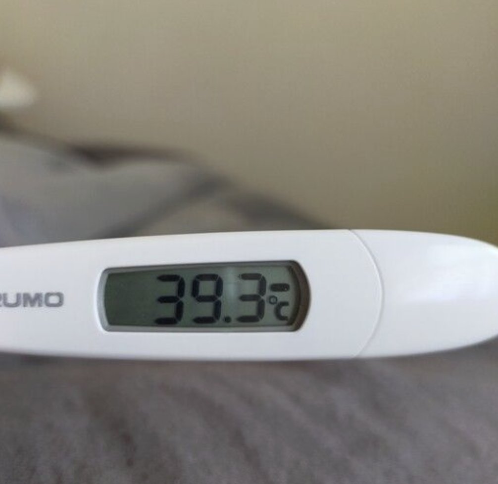 ⁺‧₊˚ ཐི⋆༒︎ꜰᴜꜱʜɪɢᴜʀᴏ ᴍᴇɢᴜᴍɪ༒︎⋆ཋྀ ˚₊‧⁺ tweet media