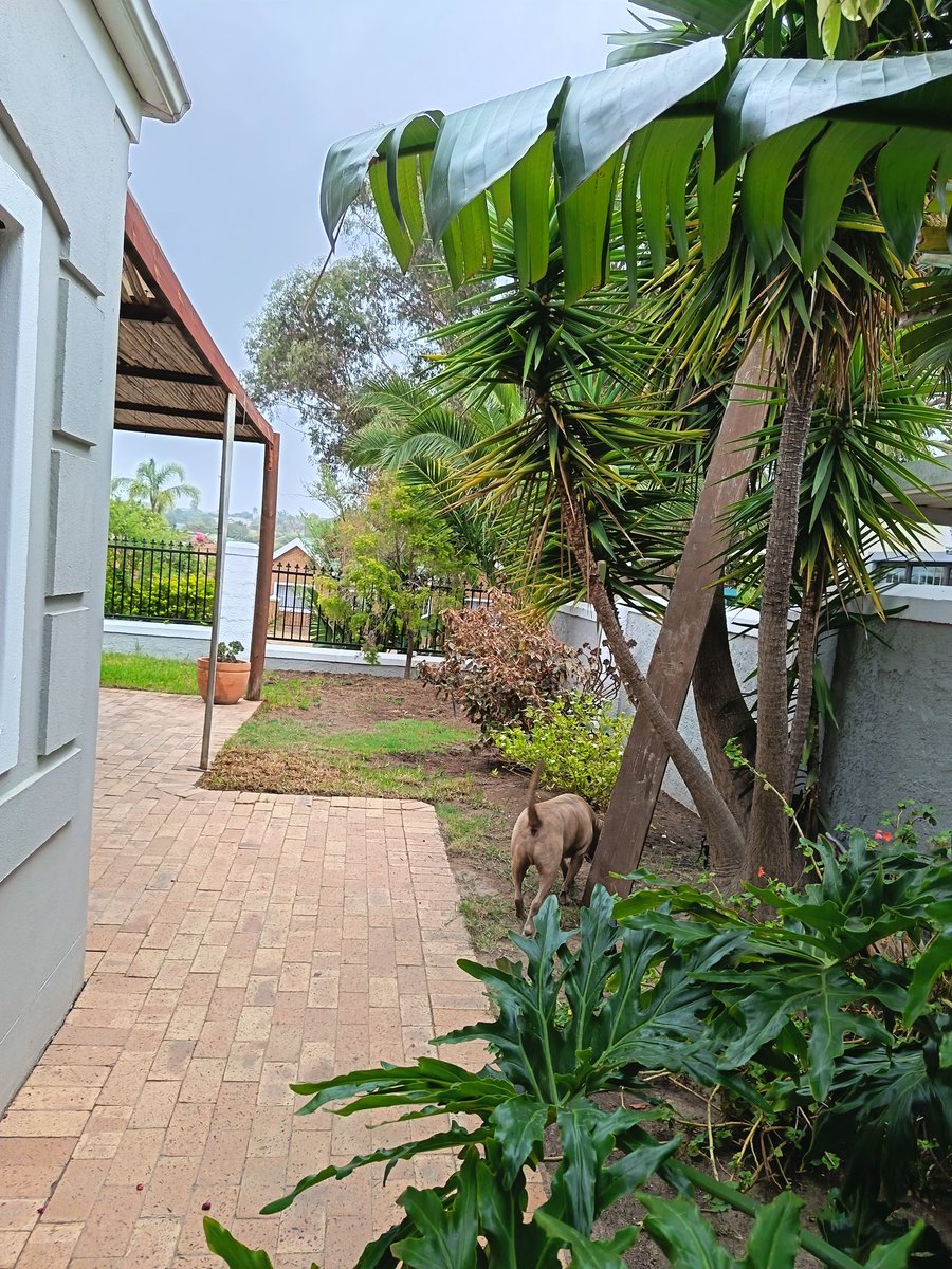 Merry Monday 💐. Cooler weather ☁️🌡️ and even a little rain 🌧️ yesterday.