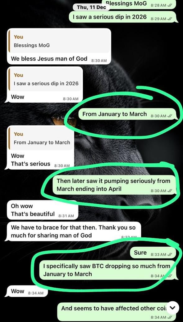 Undervalued Cryptos tweet media