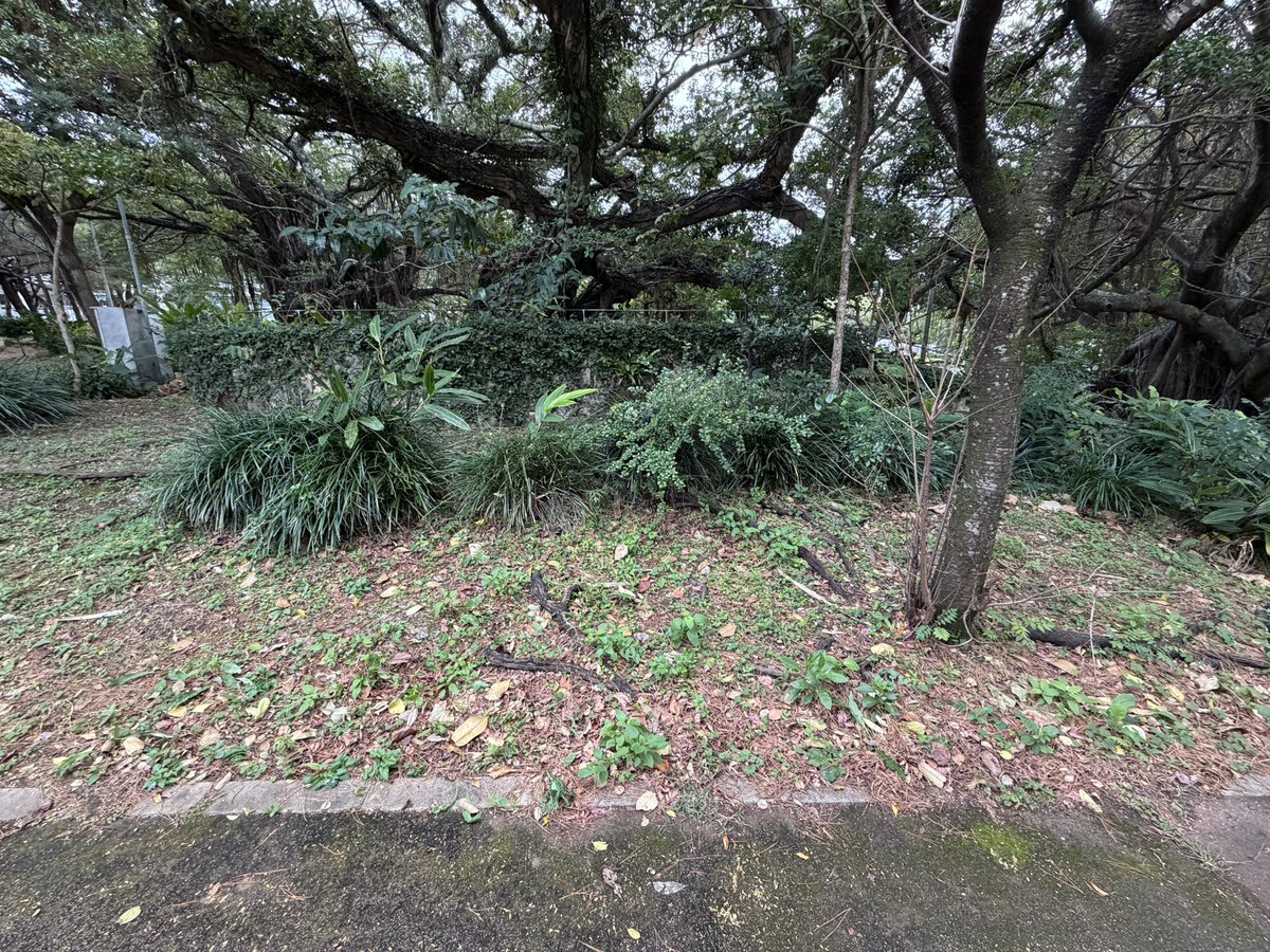 monday_spider tweet media