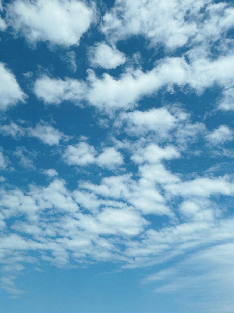 APPLE🍎 tweet media