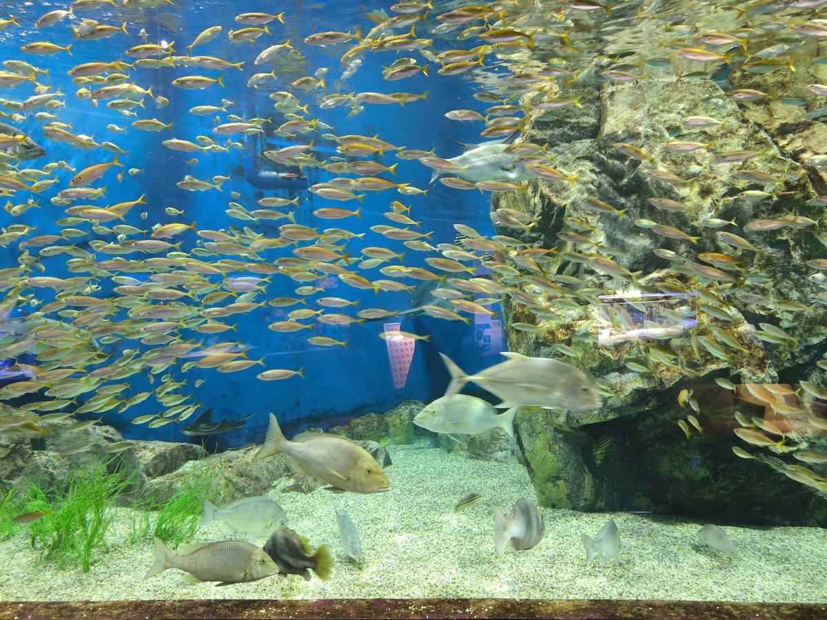 ジュエリー工房セリオ/オーダーリフォー厶 tweet media