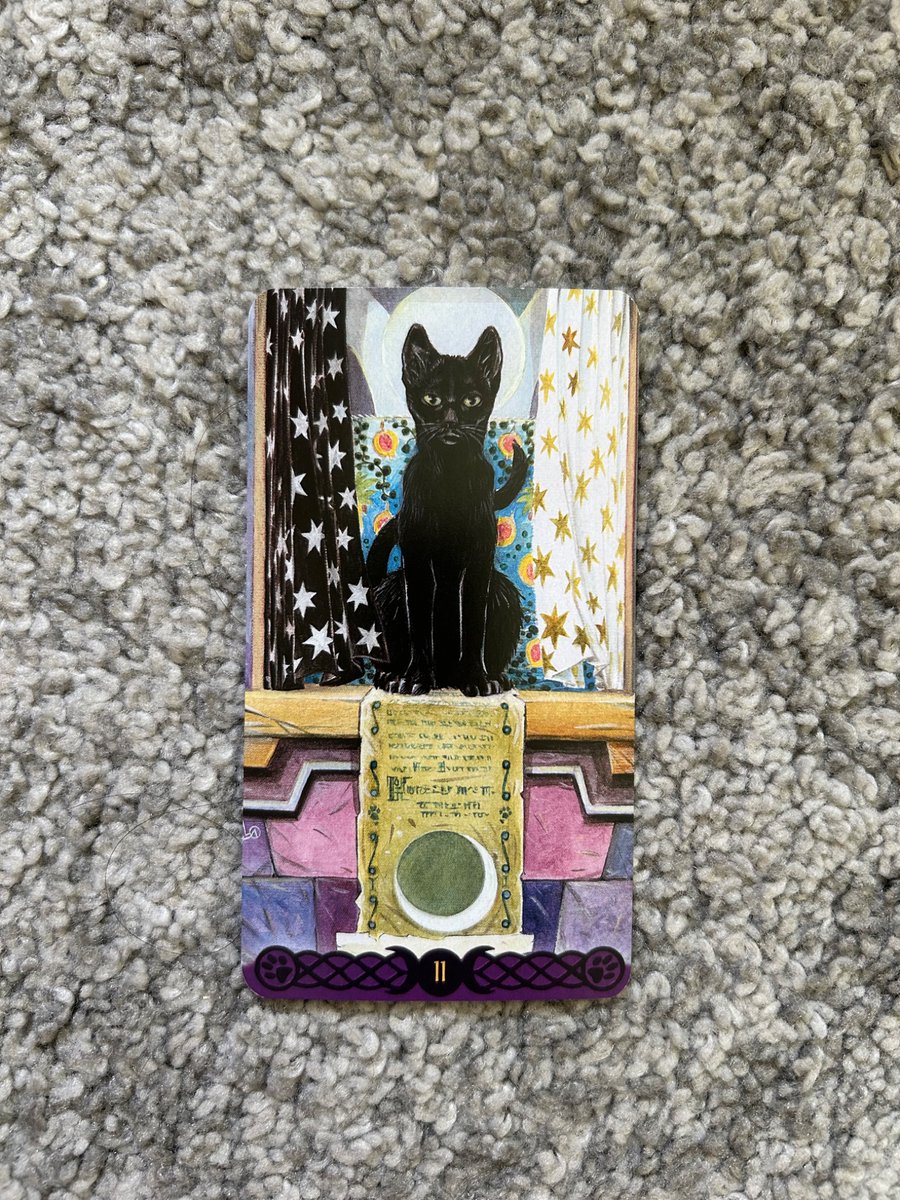 tarot_kiriiin's tweet photo. 🌕満月×ひな祭り 無料タロット🎎

「あなたの中の“大切にしてあげたい部分”」

今のあなたの中のやさしく守ってあげたいものを、ペイガンキャッツタロットで1枚引きします🐈‍⬛

【参加条件】
・リポスト
・コメントに 🎎
・3/3 22:00締切

気軽に参加してくださいね( ◜ᴗ◝) https://t.co/sSK6SR6ecb