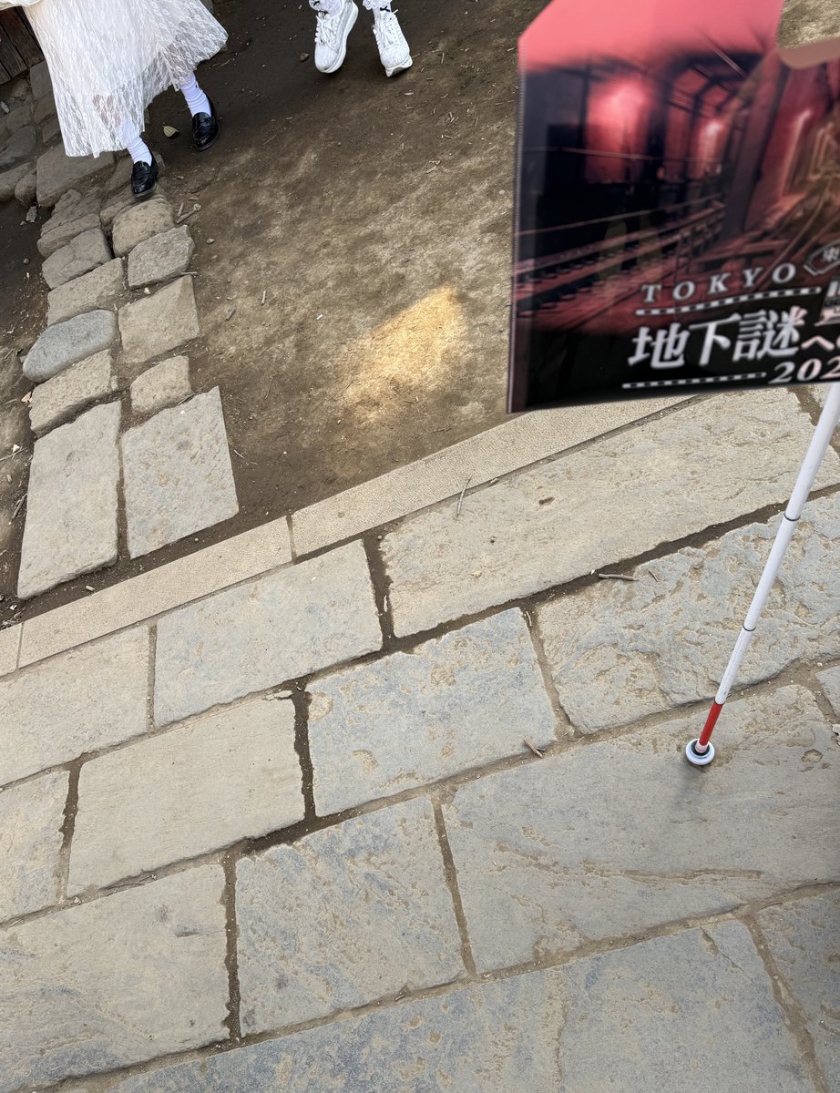 レンタルなんもしない人 tweet media