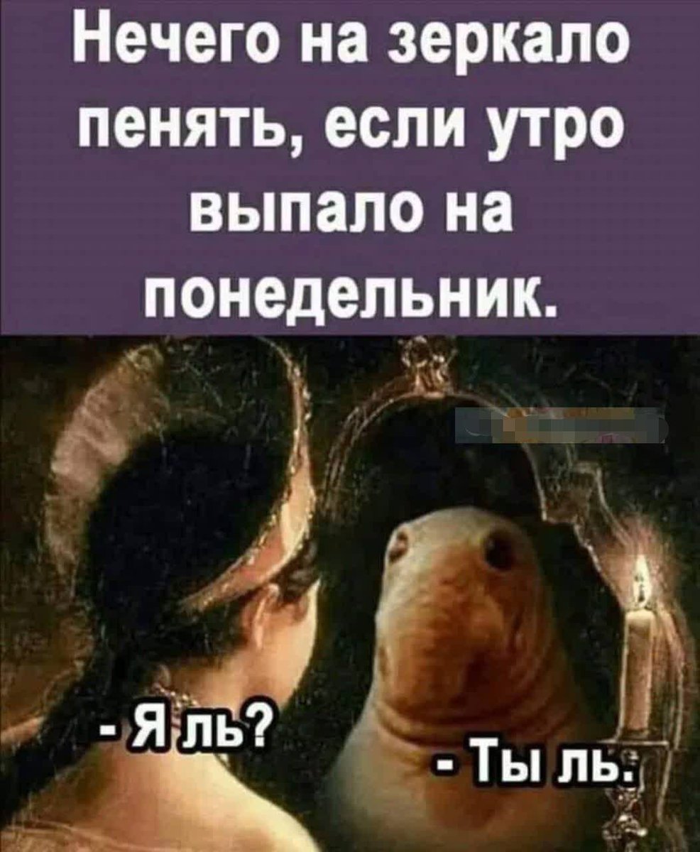 Климушка®™♍️ tweet media