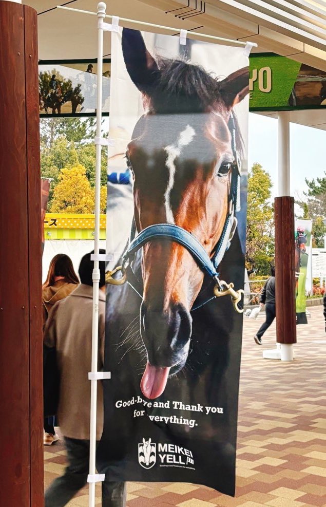 大好きなメイケイエールちゃん、8歳のお誕生日おめでとう🥹🎉 あなたを