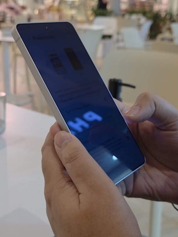 Noah Cat tweet media