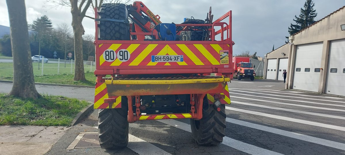 TeamBestioles tweet media